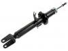 Shock Absorber:56110-EG025