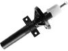 减振器 Shock Absorber:5 030 062