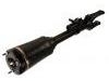 Amortiguador Shock Absorber:164 320 43 13