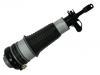 амортизатор Shock Absorber:4F0 616 040 AA